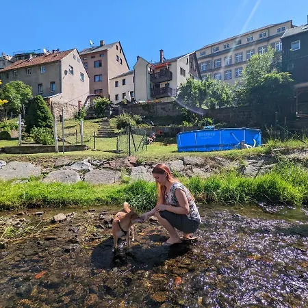 Flussblickwohnung Mit Terrasse, Pool, Garten&sauna - Zi2 * Sebnitz