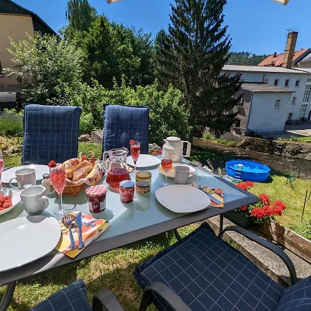 Apartment Flussblickwohnung Mit Terrasse, Pool, Garten&sauna - Zi2 Sebnitz